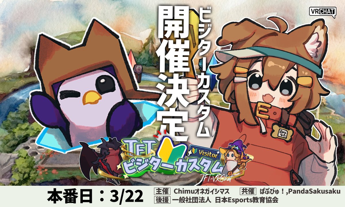 第3回ビジターカスタム（TFT回）のキービジュアル